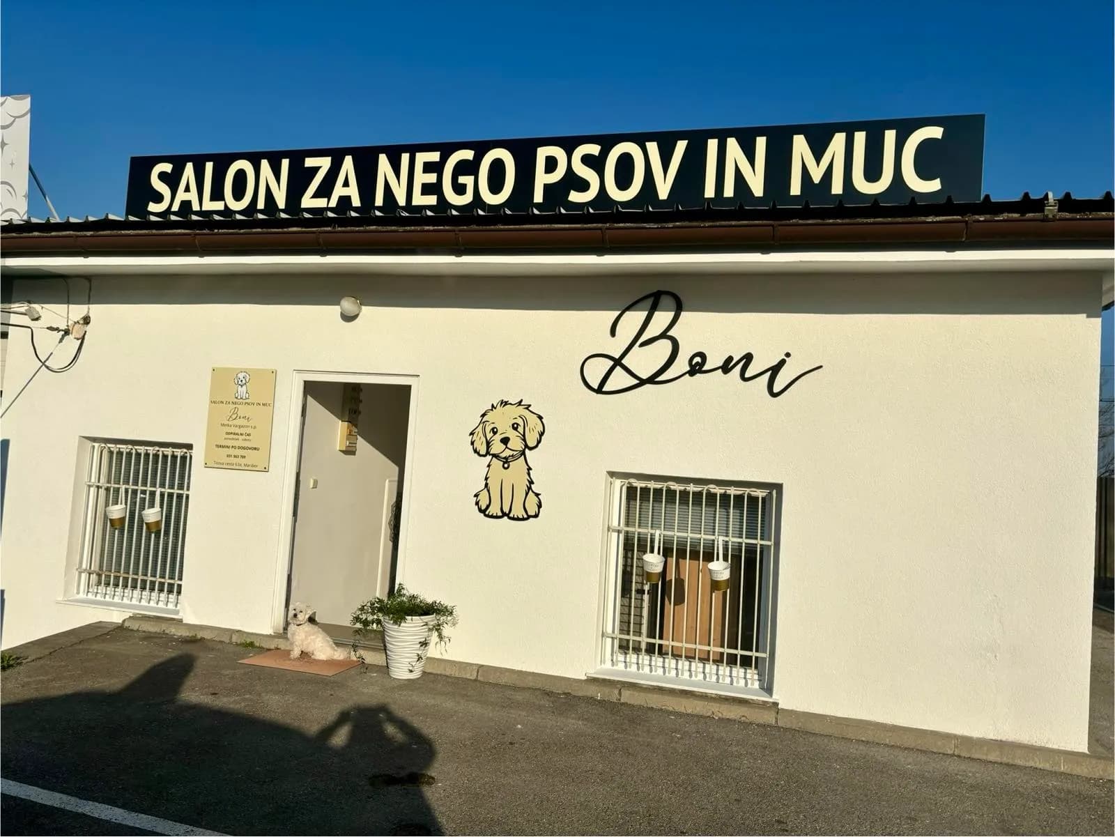 Pasji salon Boni - fotografija 1