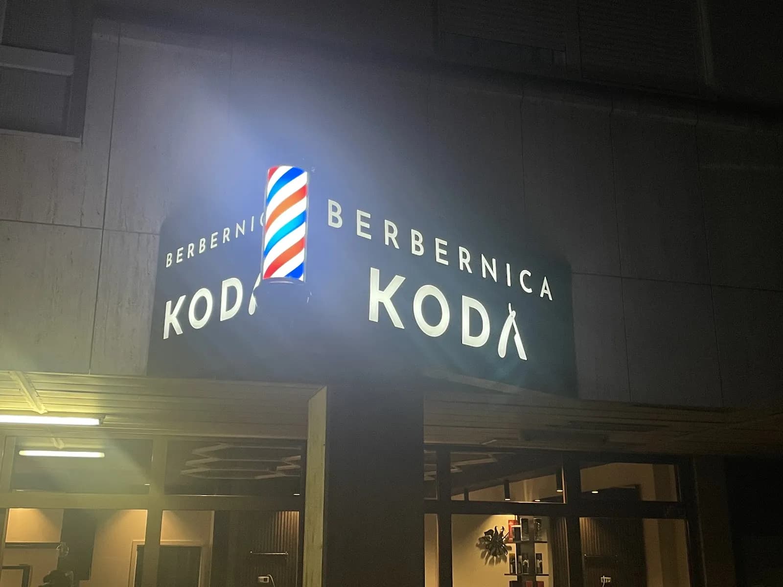 Berbernica Koda - fotografija 1