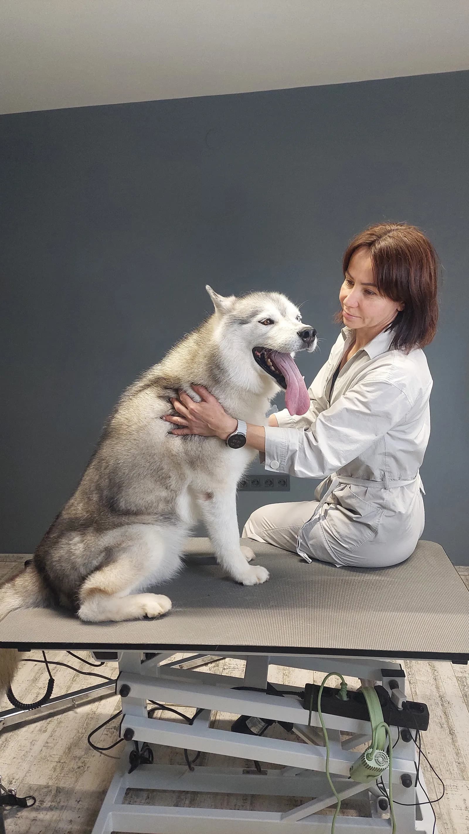 Pet Space salon za nego psov in mačk - fotografija 1